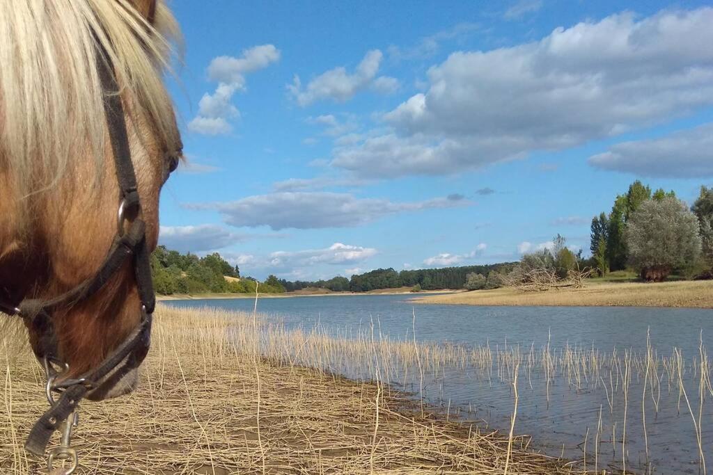 Gite En Pleine Nature Proche Du Lac De La Gimone Saint-Blancard ภายนอก รูปภาพ