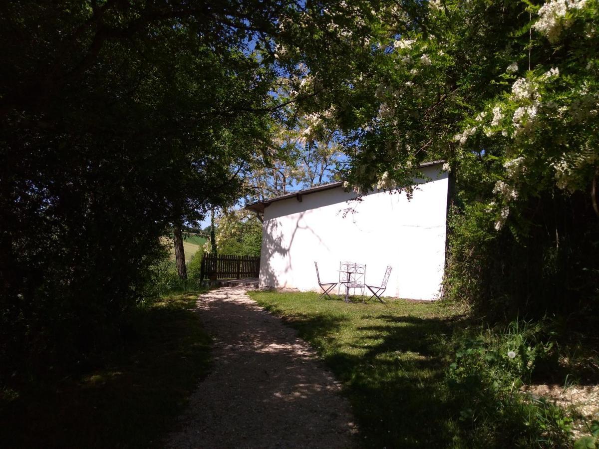 Gite En Pleine Nature Proche Du Lac De La Gimone Saint-Blancard ภายนอก รูปภาพ